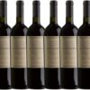 VINHO TINTO ARGENTINO - Dv Catena Malbec Malbec - CX fechada - 6 unidades